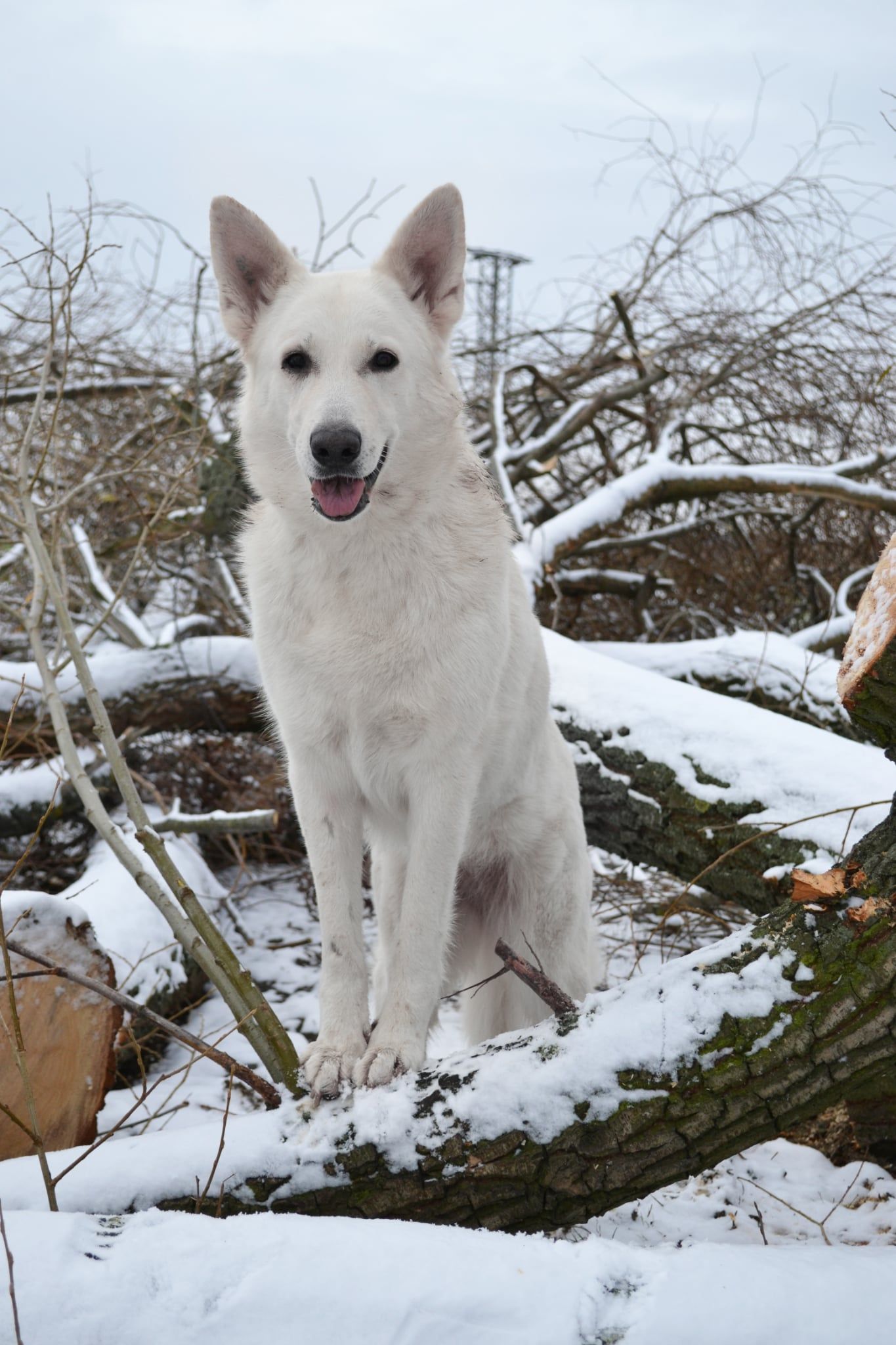 595294301_10225452872909101_6279388614208039062_n